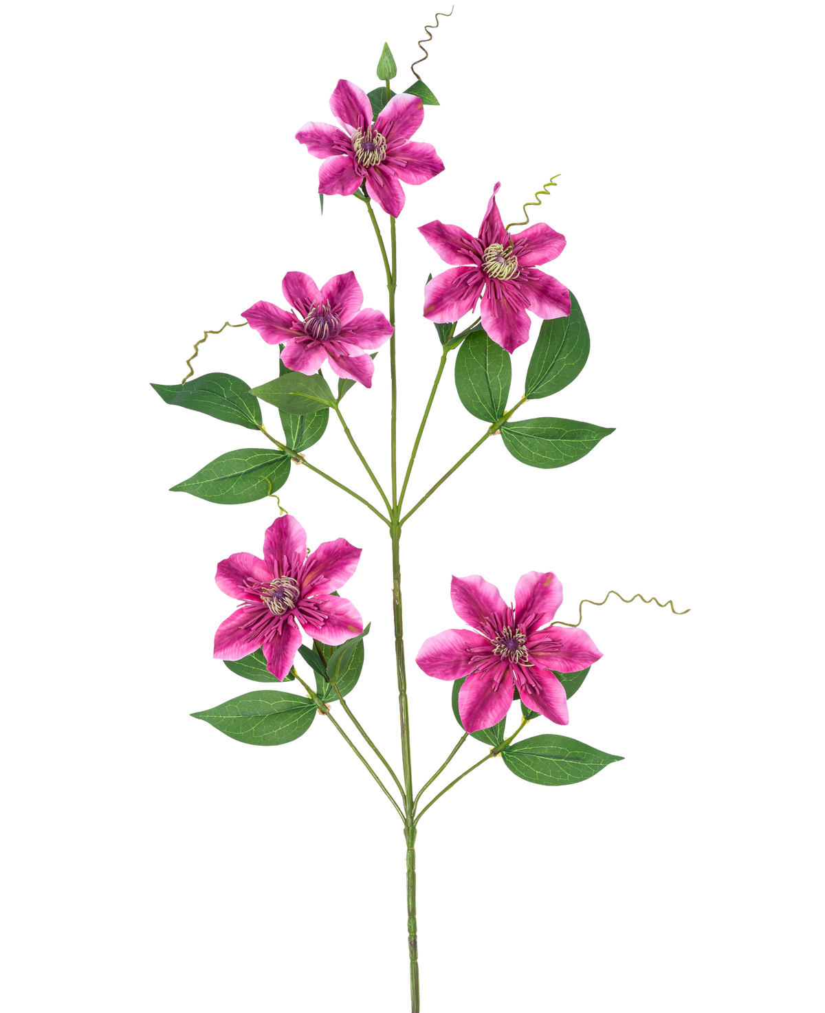 Den konstgjorda blomman Clematis dubbel 78 cm lila har fem stjärnformade, lila dubbla blommor med gröna blad och lockiga rankor på smala stjälkar, mot en vit bakgrund.