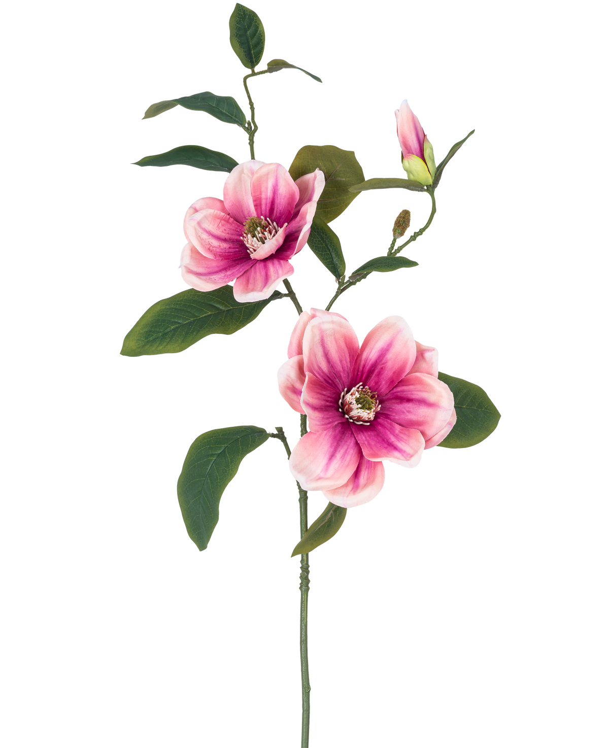 Konstblommamagnolian 82 cm rosa/vit har en enda stjälk med två stora rosa-vita magnoliablommor, en knopp och flera mörkgröna blad, mot en vanlig vit bakgrund.