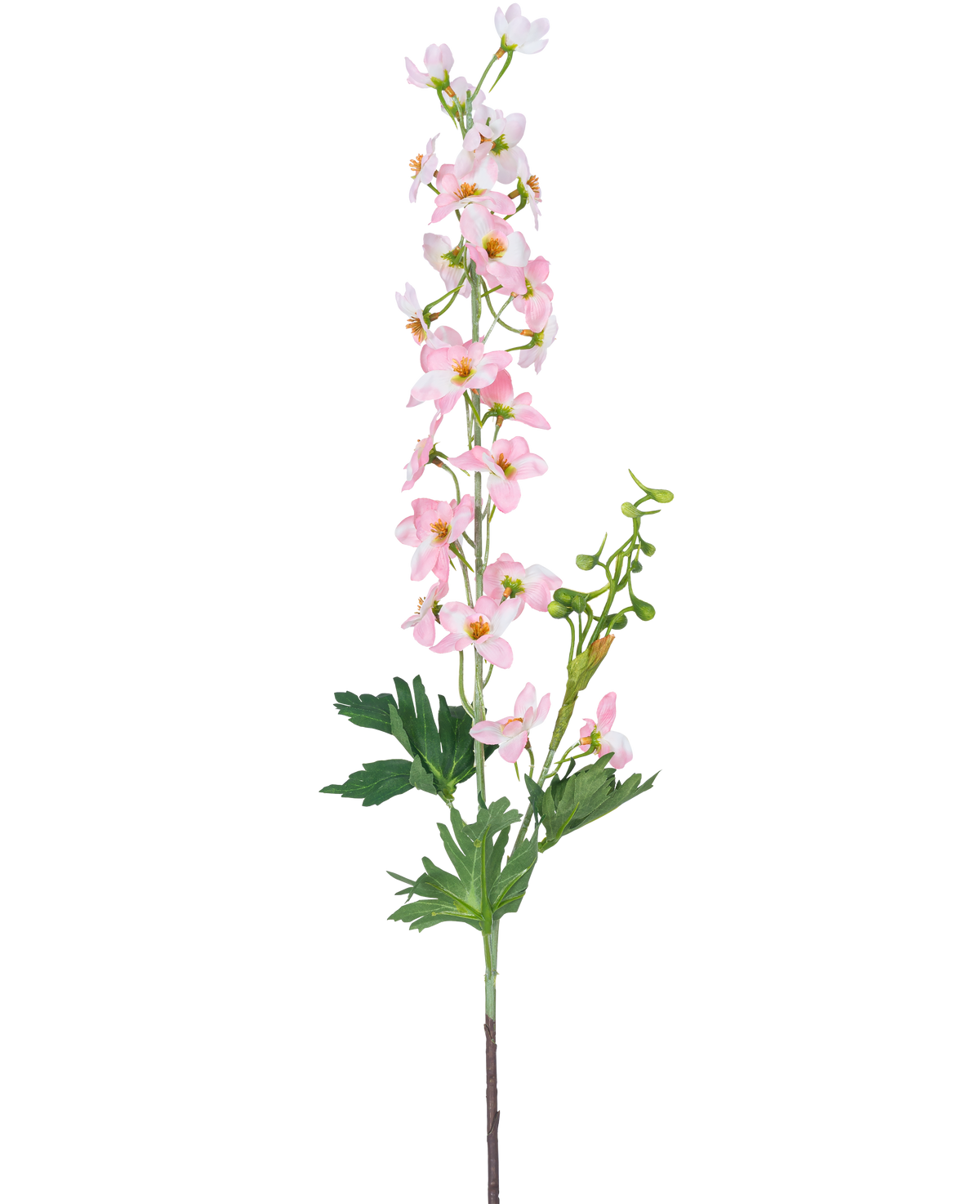 En enda konstgjord blomma Delphinium 79 cm ljusrosa har flera små ljusrosa blommor och gröna blad, isolerade på en vit bakgrund.