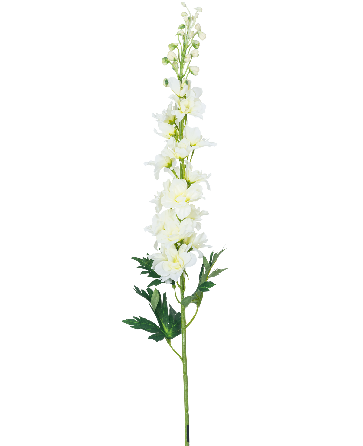 Den konstgjorda blomman Delphinium 79 cm vit har en lång vit delphiniumstam med flera blommor och gröna blad, isolerade på en vit bakgrund.