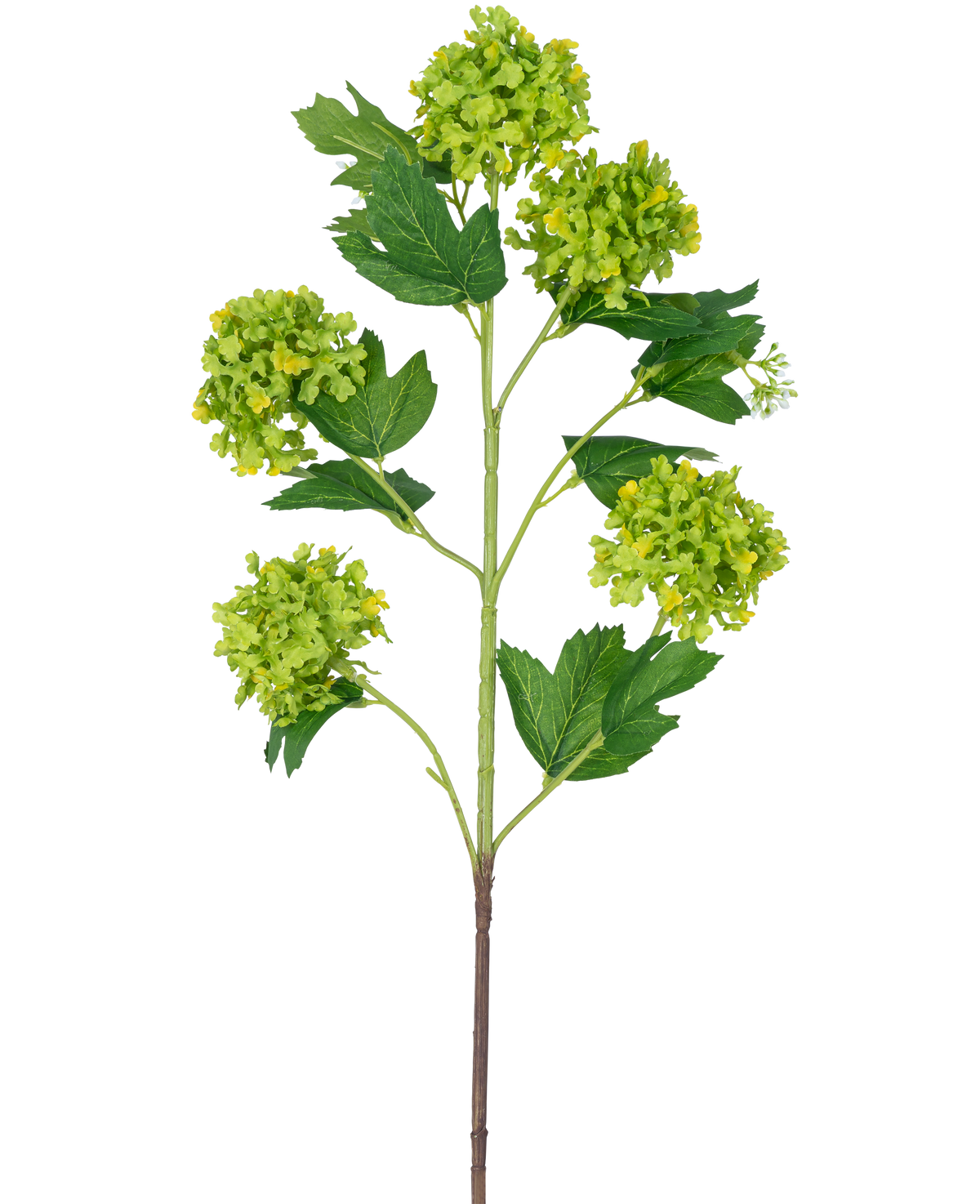 Den konstgjorda grenen Snowball 77 cm grön har en enda stjälk med flera klasar av runda, gröngula blommor och mörkgröna, tandade blad, allt mot en vit bakgrund.