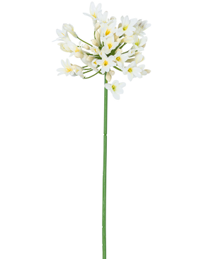 De Kunstbloem Agapanthus 77 cm wit heeft een enkele hoge groene steel met daarop een tros kleine witte bloemen met een geel hart, tegen een effen witte achtergrond.
