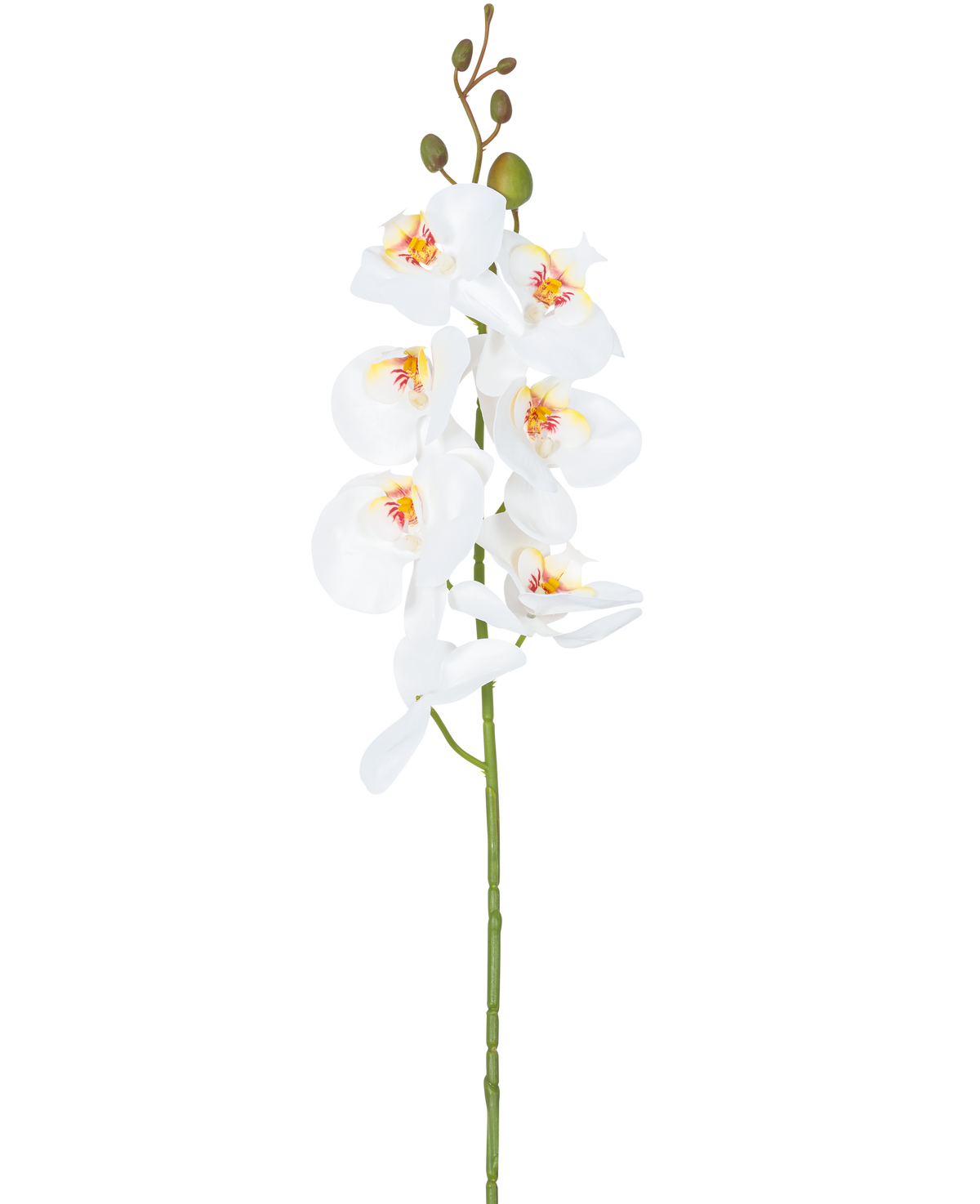 Den konstgjorda blomsterorkidén 84 cm vit har en enda stjälk av vita orkidéblommor med gula och rosa hjärtan och gröna blomknoppar i toppen, mot en vanlig vit bakgrund.