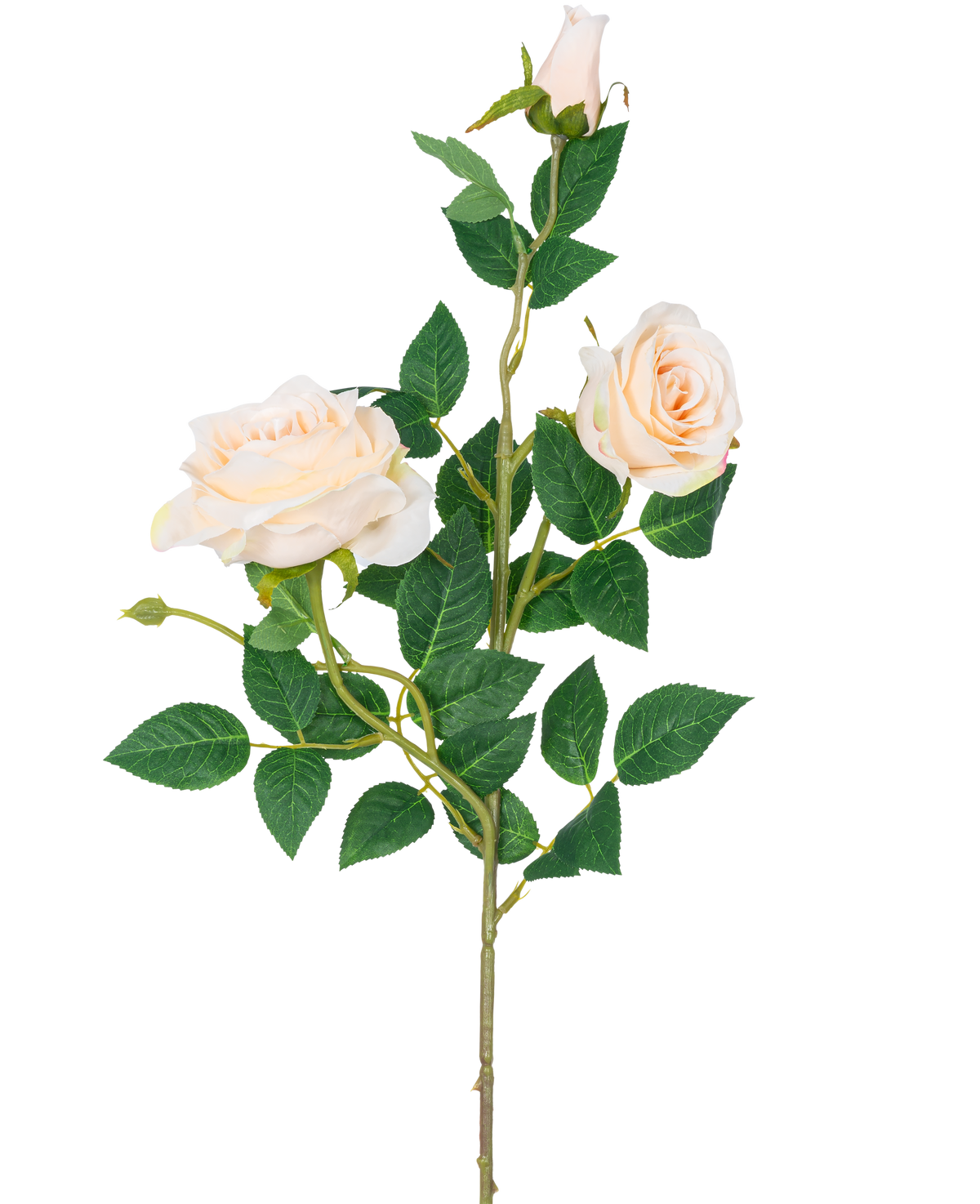 Artificiell Rose Neo deluxe 75 cm beige har en enda stjälk med två ljusbeige blommande rosor, en rosknopp och flera gröna blad, mot en vanlig vit bakgrund.