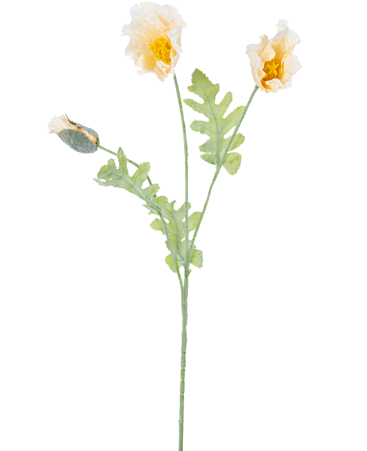 En delikat botanisk illustration av artificiell blomvallmo 73 cm kräm, med två öppna gula blommor och en sluten knopp på gröna stjälkar med tandade blad, mot en vit bakgrund.