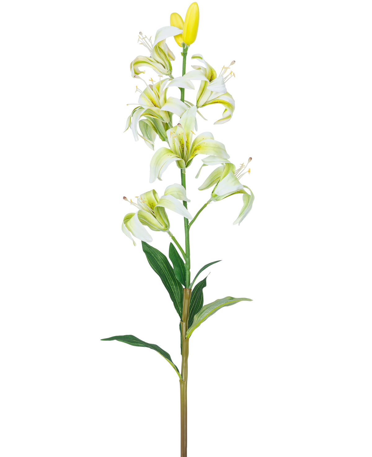 Artificiell blommartagonlilja 78 cm vit har en lång stjälk med flera vita liljablommor och knoppar, ett gult hjärta och gröna blad, isolerade på en vit bakgrund.
