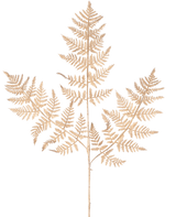 Het Kunsttak Varen 78 cm goud heeft een delicate, gedroogde varentak met dunne, ingewikkelde lichtbruine bladeren in een gedetailleerd kantpatroon, elegant weergegeven tegen een effen witte achtergrond.