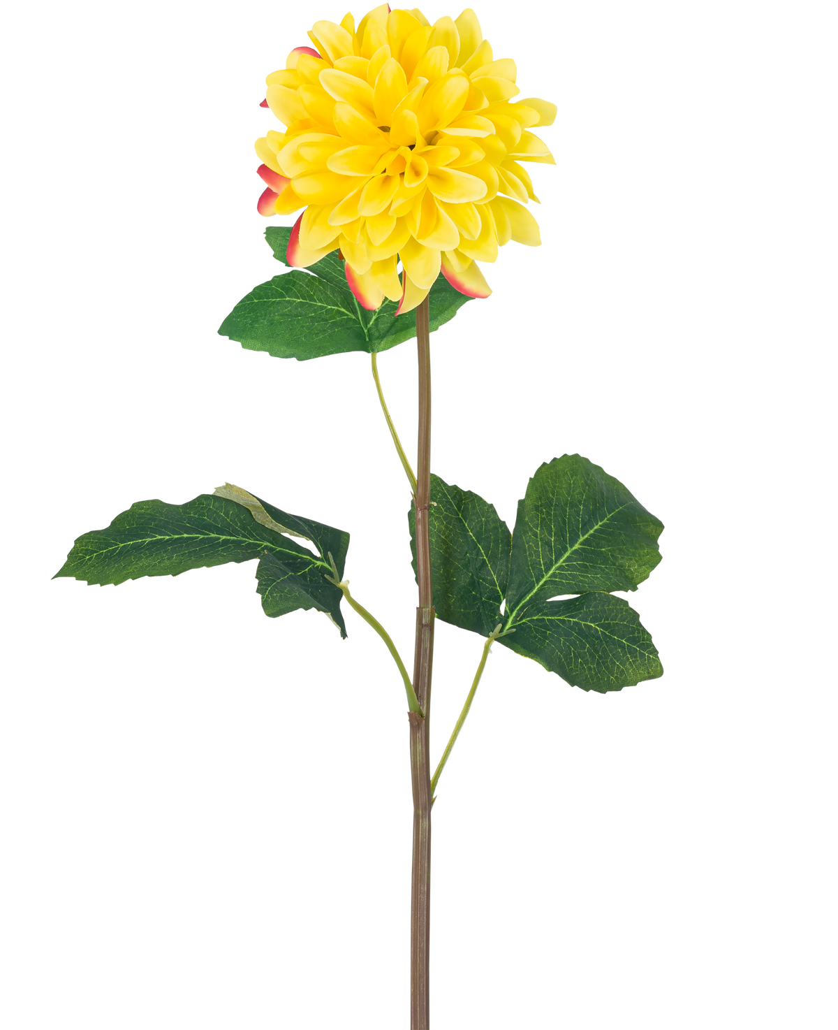 Artificiell Blomma Dahlia Real Touch Yellow 73 cm är en enda gul dahlia med runda kronblad och röda accenter, med en lång grön stjälk och ett antal stora gröna blad, mot en vit bakgrund.