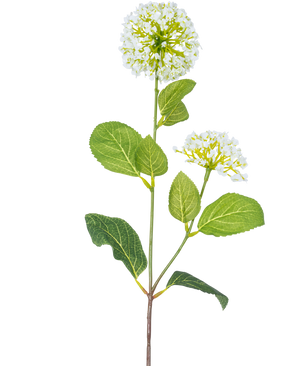 De Kunstbloem Sneeuwbal/Viburnum (70 cm) heeft twee trossen kleine witte bloemen en meerdere groene ovale bladeren op een steel, tegen een witte achtergrond.
