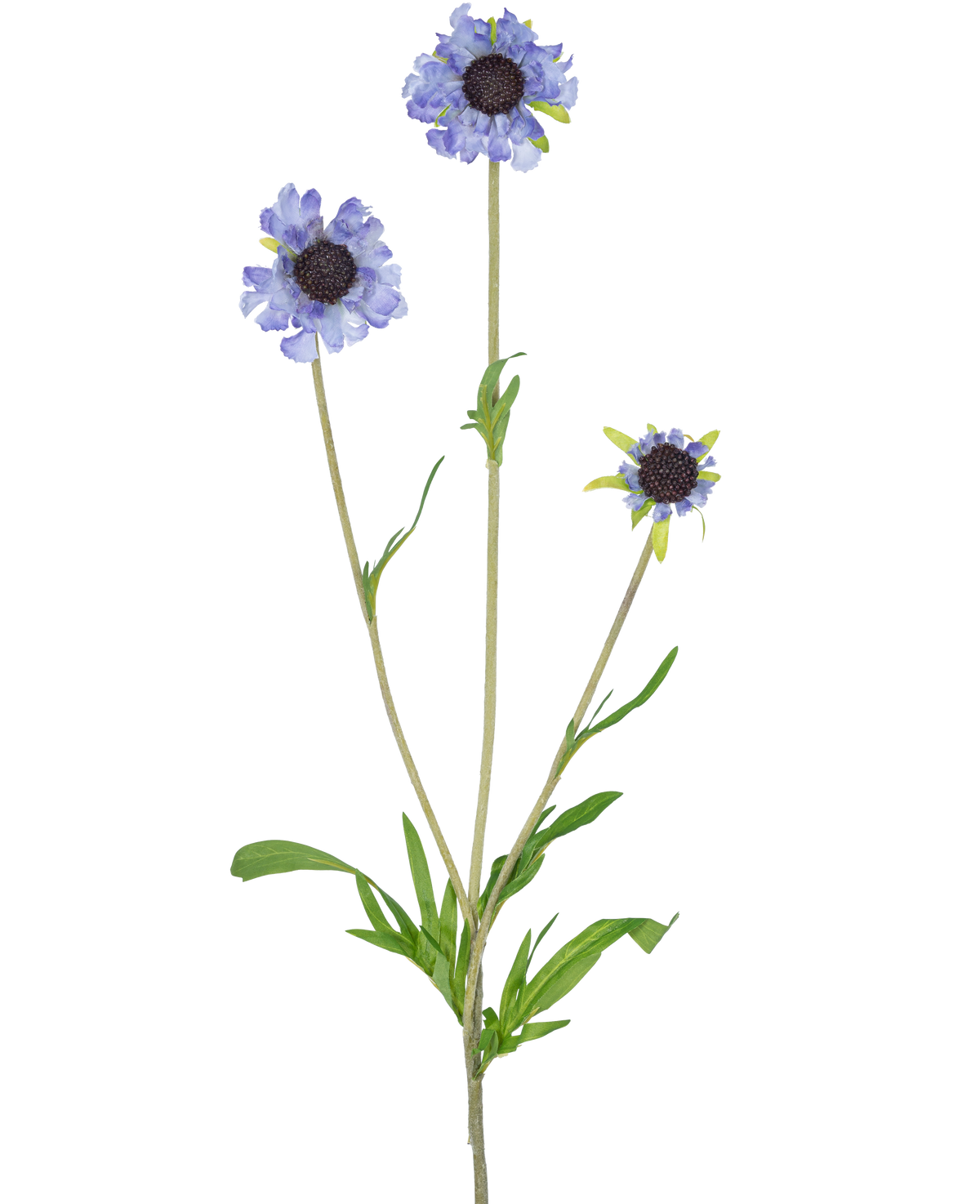 Den konstgjorda blomman Scabiosa 63 cm blå har en enda grön stjälk med tre grenar, var och en krönt med en ljuslila-blå, tusensköna-liknande blomma och mörka, långsträckta gröna blad i mitten, allt mot en vanlig vit bakgrund.