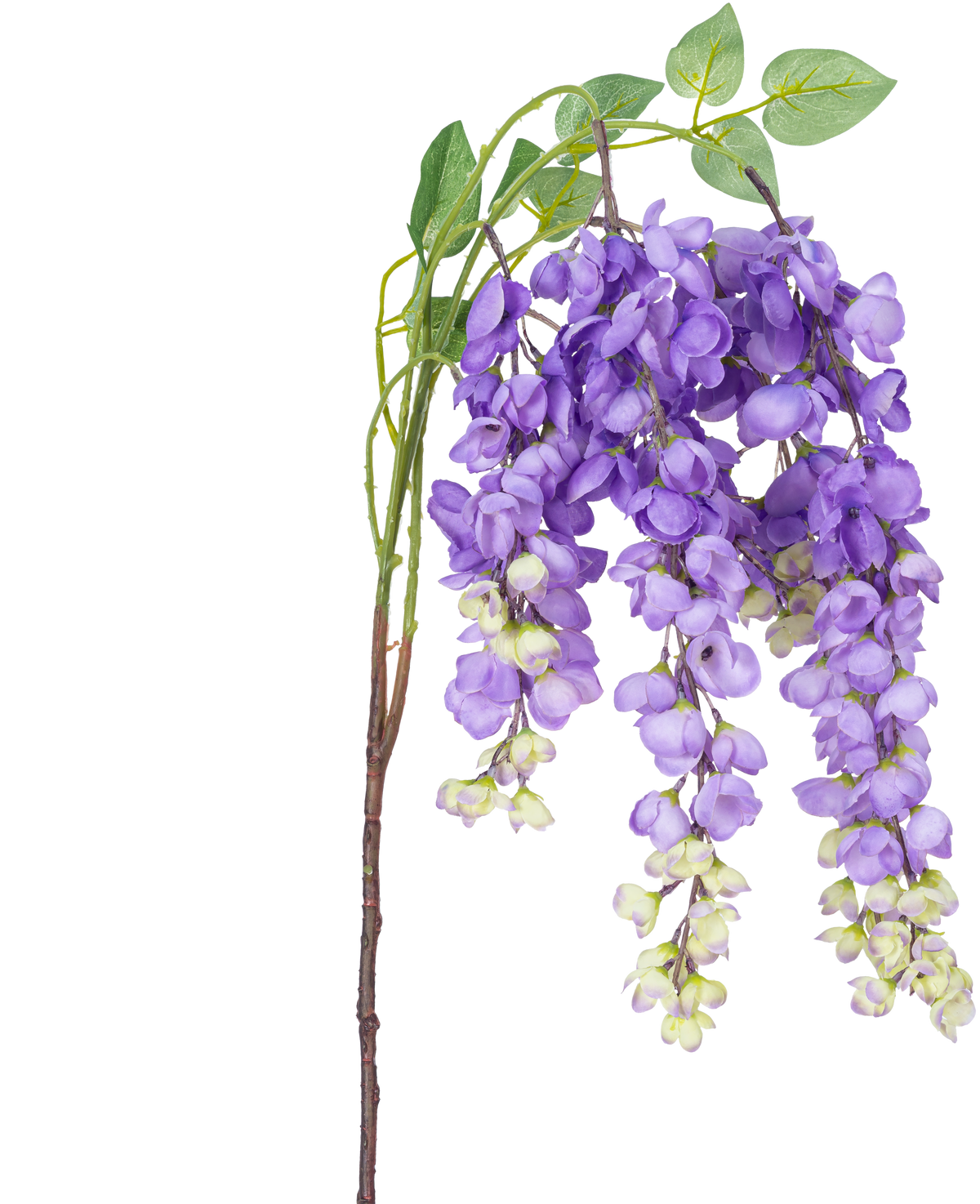 En konstgjord blomma Wisteria 115 cm lila med lila blåregnblommor och gröna blad mot en vit bakgrund.