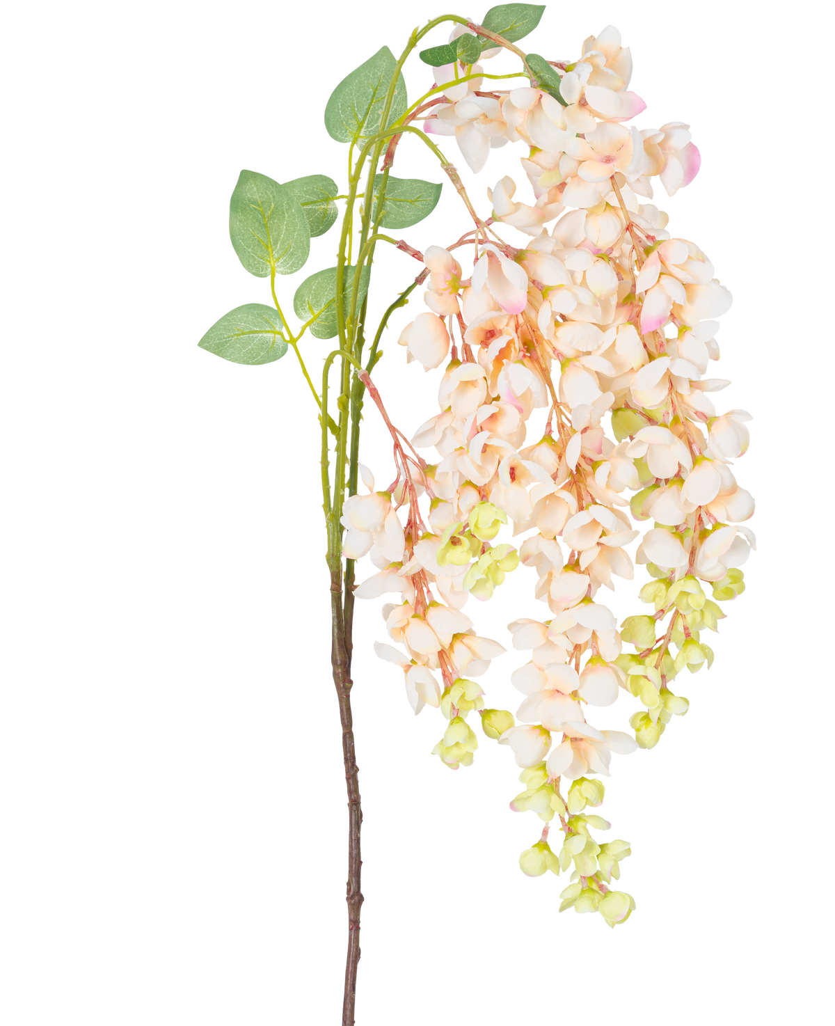 Den konstgjorda blomman Wisteria 100 cm krämen har en enda stjälk med klasar av ljusrosa och krämfärgade blåregnsblommor, gröna knoppar och gröna blad mot en vit bakgrund.