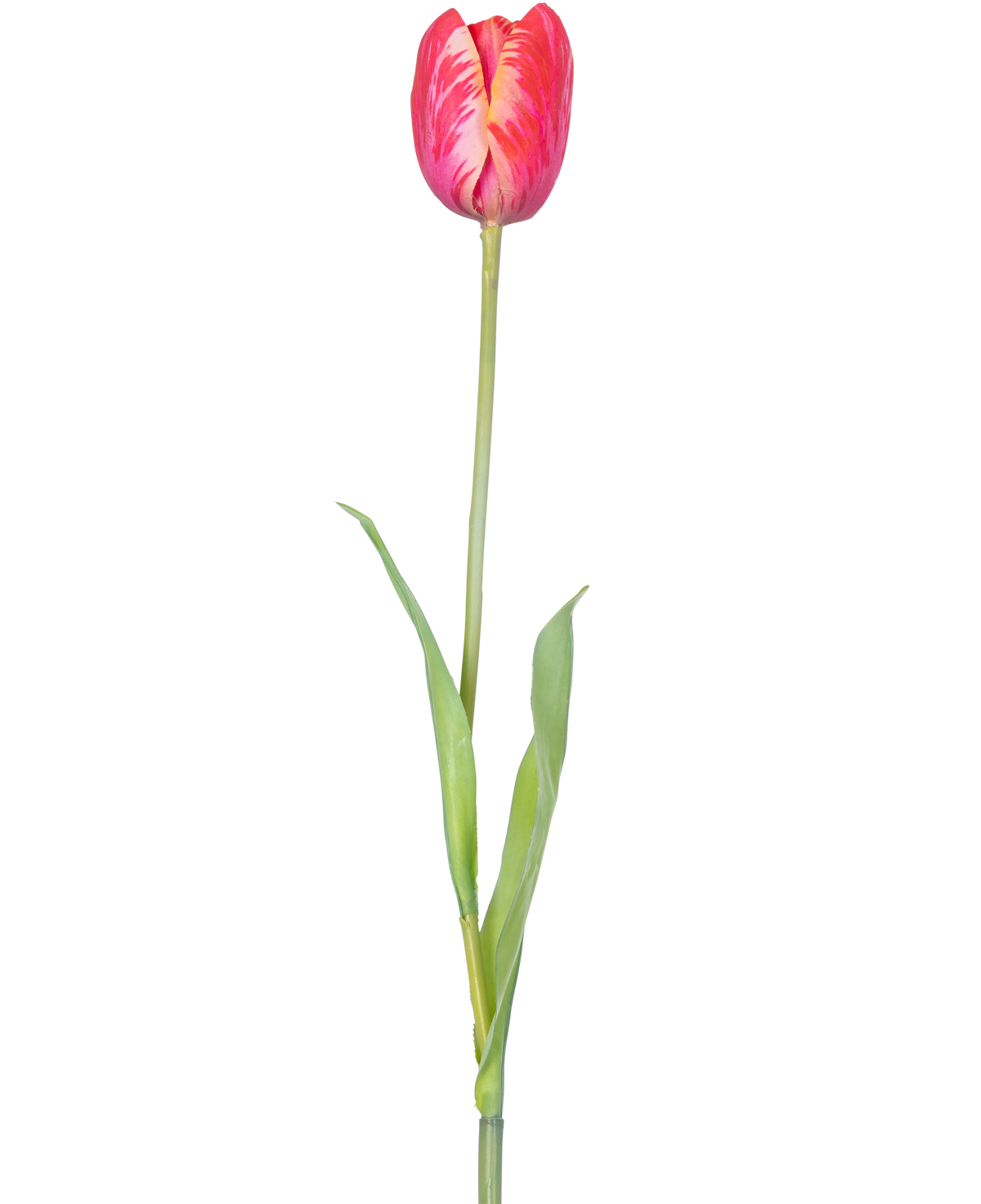 En enkel konstgjord blomma fransk tulpan 60 cm röd med livfulla röda kronblad och gröna blad på en stjälk, mot en vit bakgrund.