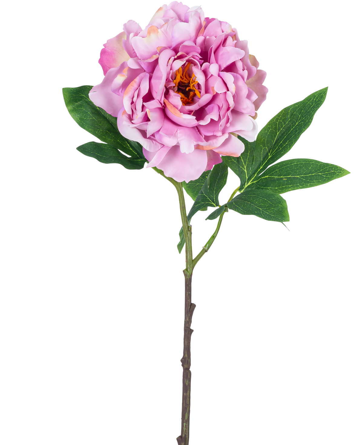 En enda konstgjord blompion 61 cm ljusrosa, med ljusrosa kronblad och gröna blad på en lång stjälk, fotograferad mot en vanlig vit bakgrund.