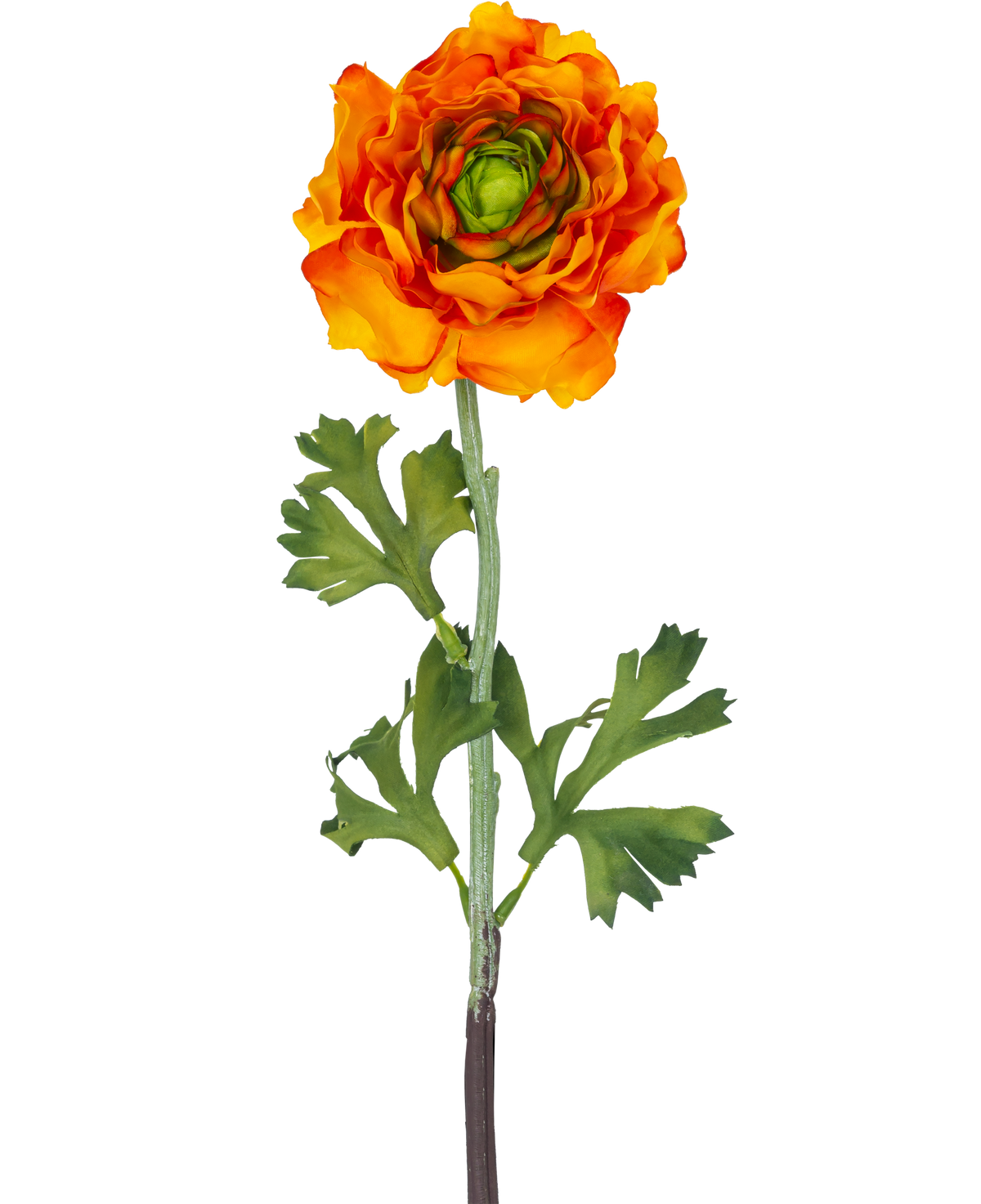 Den konstgjorda blomman Ranunculus 51 cm orange är en konstgjord orange ranunculusblomma med skiktade kronblad och gröna blad på en lång stjälk, perfekt som en dekorativ accent.