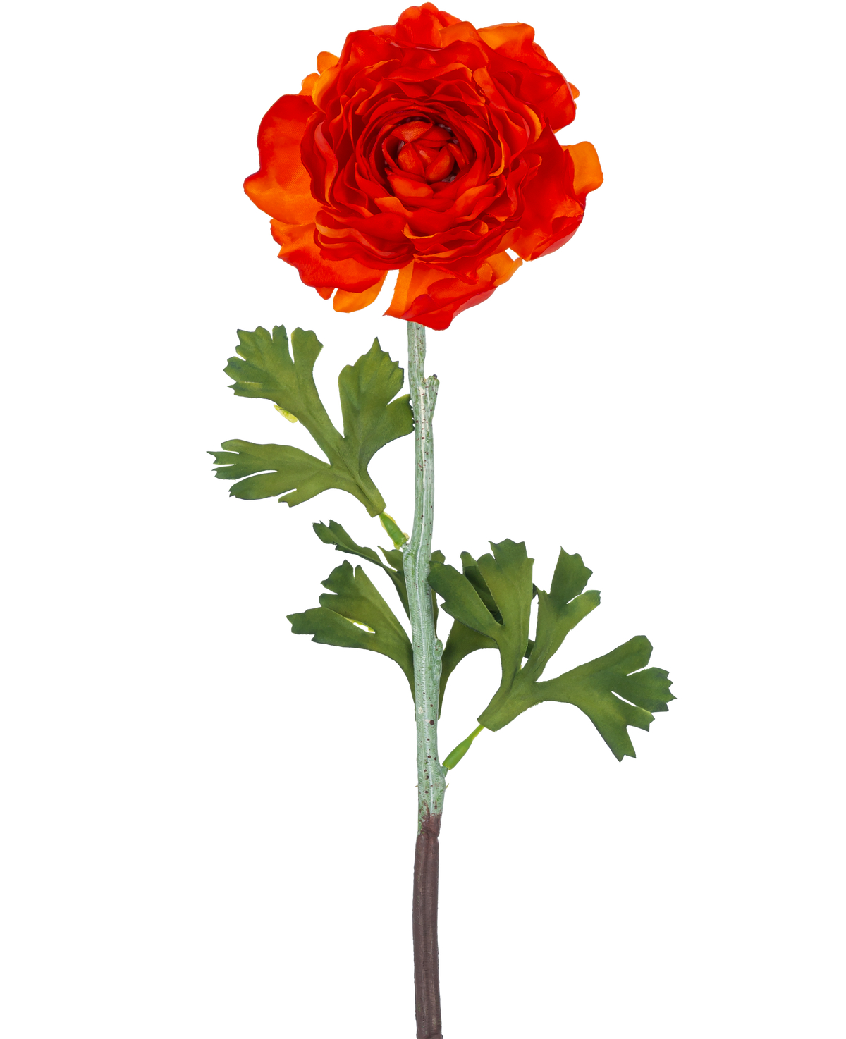 Den konstgjorda blomman Ranunculus 51 cm mörkorange har en levande mörkorange konstgjord ranunculusblomma med skiktade kronblad och gröna, flikiga blad på en lång stjälk, mot en vanlig vit bakgrund.