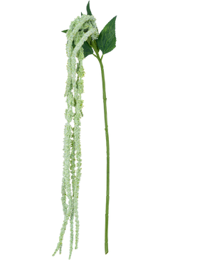 De Kunstbloem Amaranthus 124 cm groen heeft een enkele groene stengel met lange, hangende trossen kleine, lichtgroene bloemen en twee grote groene bladeren, tegen een witte achtergrond.