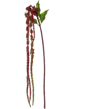 De Kunstbloem Amaranthus 122 cm wijnrood heeft een enkele kunst amarantstengel met groene bladeren en lange trossen kleine, wijnrode bloemen tegen een witte achtergrond.