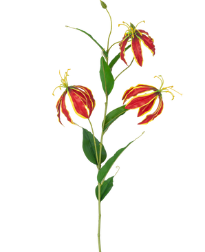 De Kunstbloem Gloriosa Real Touch Rood 75 cm heeft een enkele steel met drie levendige rode en gele leliebloemen en lange groene bladeren, tegen een witte achtergrond.