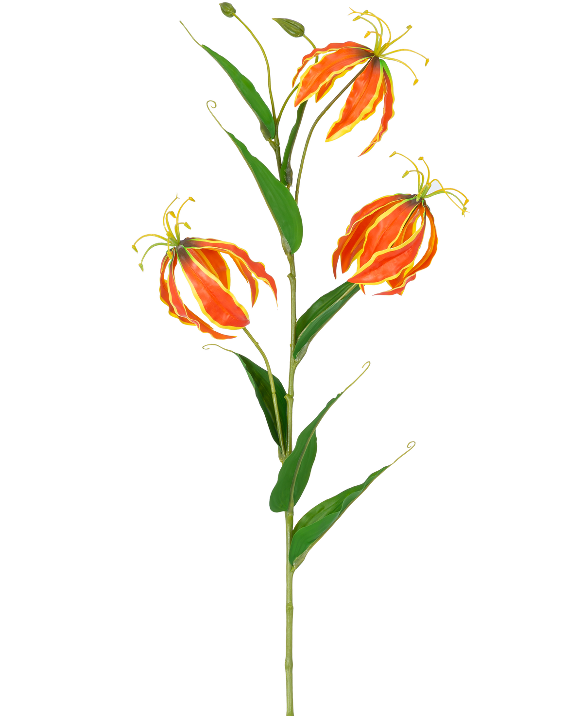 Den konstgjorda blomman Gloriosa Real Touch Orange 75 cm har en hög grön stjälk med tre stora orange och gula liljor och långa, smala gröna blad, vackert utställda på en vit bakgrund.