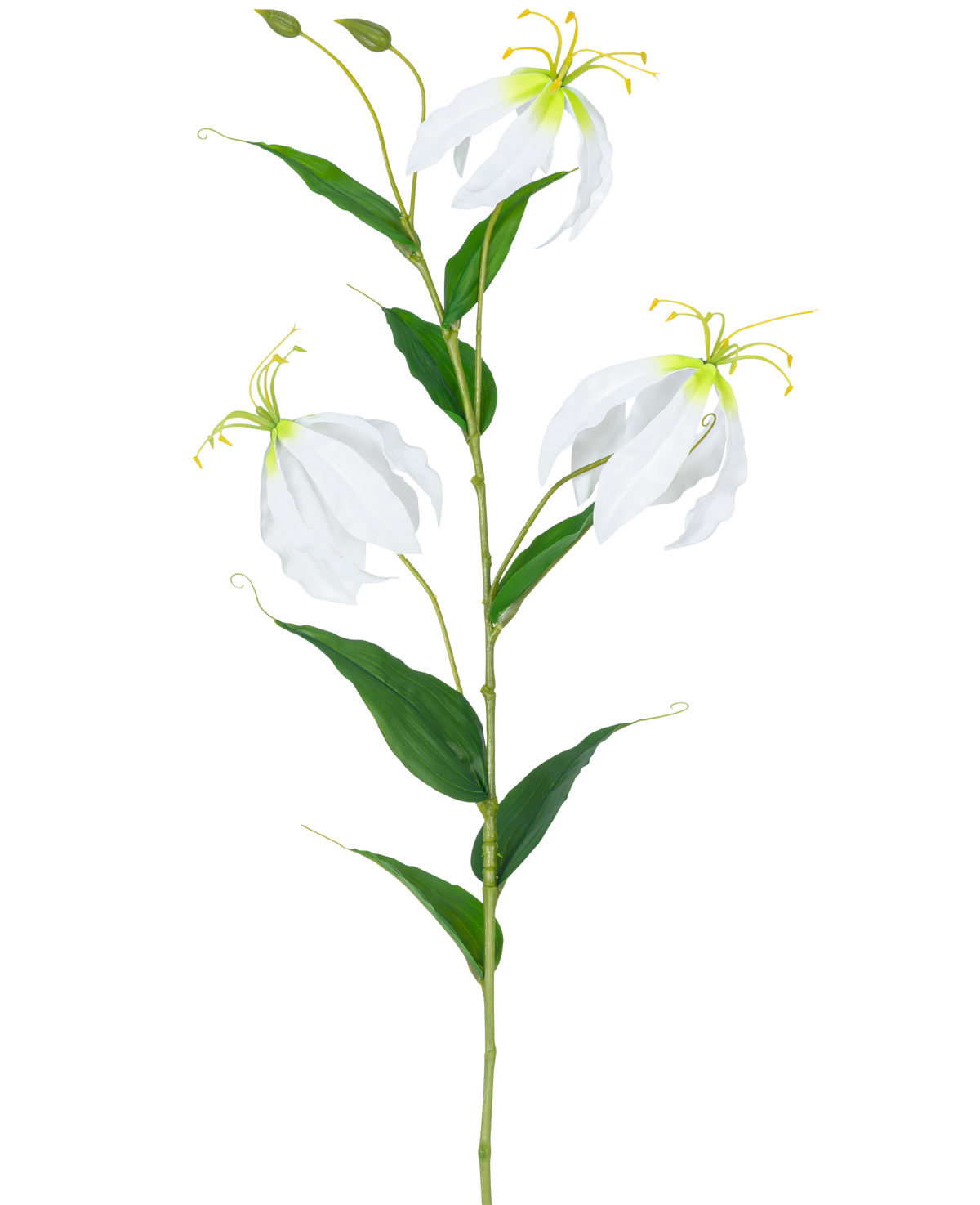 Den konstgjorda blomman Gloriosa Real Touch White 75 cm har en enda grön stjälk med tre öppna vita Gloriosablommor, två knoppar, långa gula ståndare och långsträckta gröna blad mot en vanlig vit bakgrund.