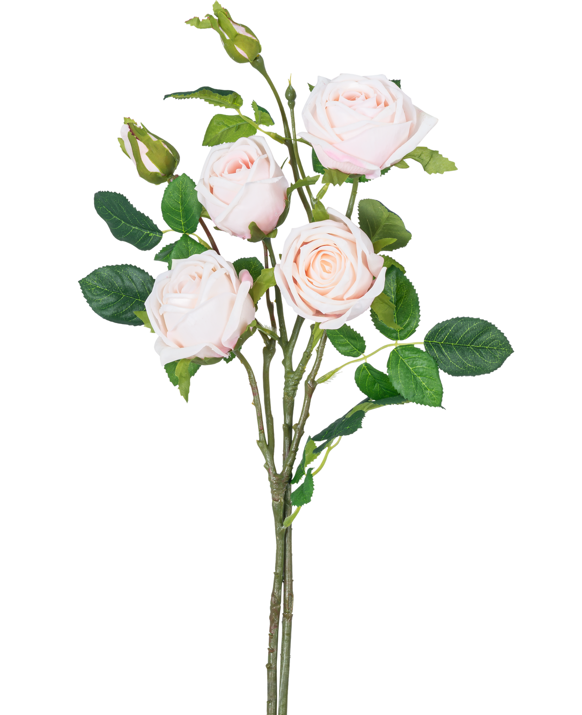 Artificiell rosgren dubbel Real Touch ljusrosa 80cm har en stjälk med tre fullblommande ljusrosa rosor, två rosknoppar och flera gröna blad mot vit bakgrund.