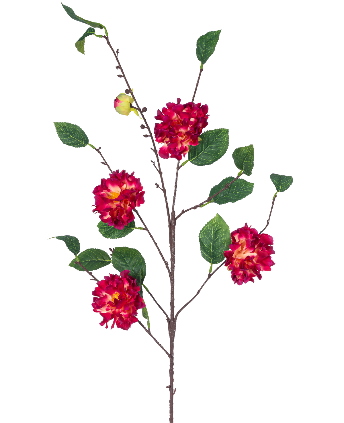 Den konstgjorda blomman Japanese Camellia 95 cm Wine Red har en brun gren med gröna blad, klasar av livfulla vinröda och gula blommor och en liten sluten knopp, allt mot en vit bakgrund.