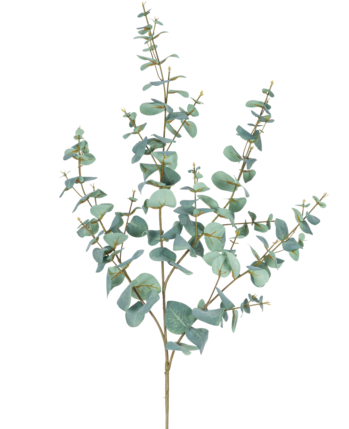 Artificiell Eucalyptus 120 cm har flera tunna stjälkar och runda, blågröna blad mot en vanlig vit bakgrund.