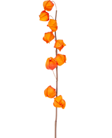 En enda stjälk av artificiell blomma Physalis Lampion 90 cm orange, med flera ljusorange, lyktformade baljor, visas mot en vanlig vit bakgrund.