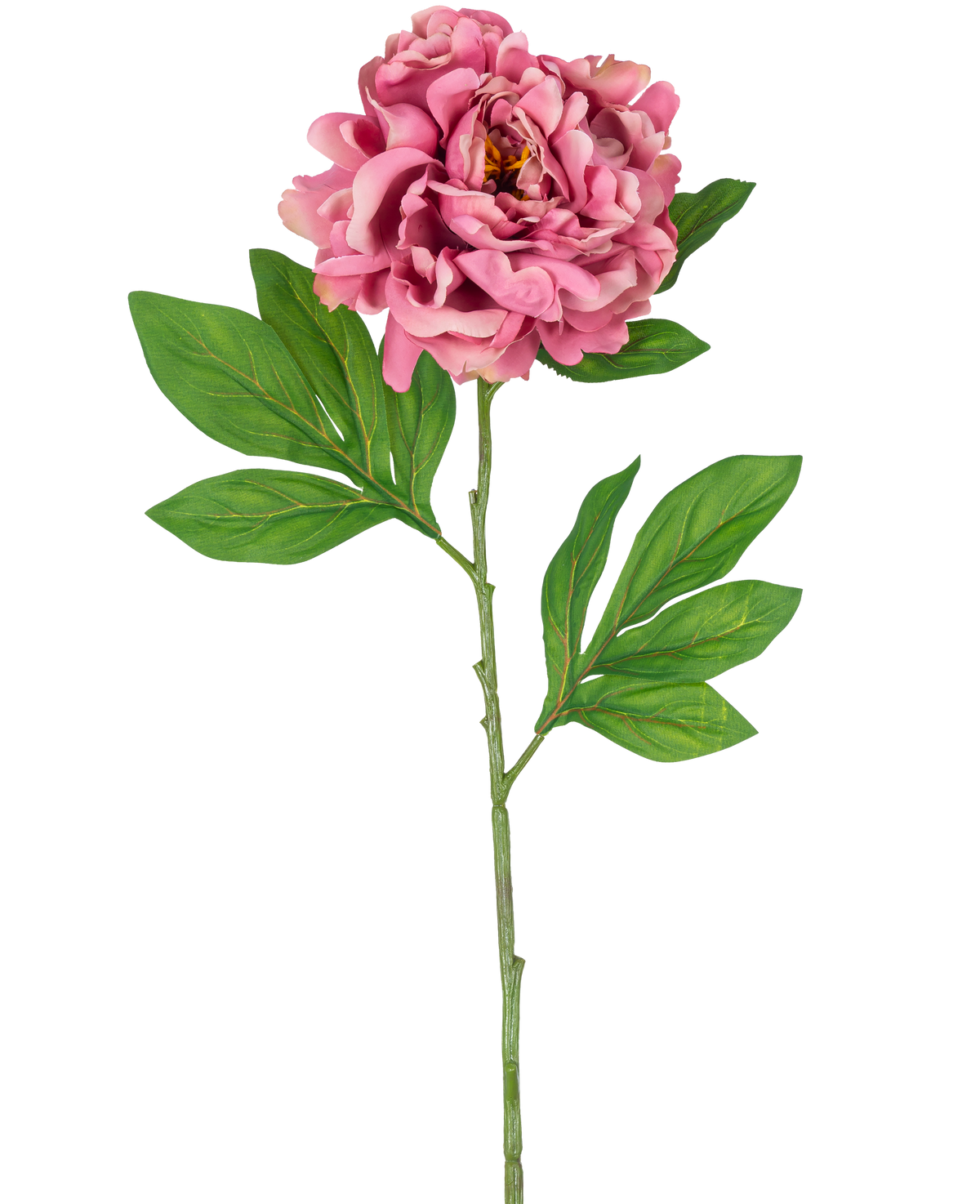 Den konstgjorda blompionen 77 cm rosa har en enda rosa pion med skiktade kronblad och gröna blad på en lång, smal stjälk mot en vit bakgrund.