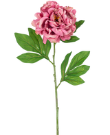 De Kunstbloem Pioen 77 cm roze heeft een enkele roze pioenroos met gelaagde bloemblaadjes en groene bladeren op een lange, slanke steel tegen een witte achtergrond.
