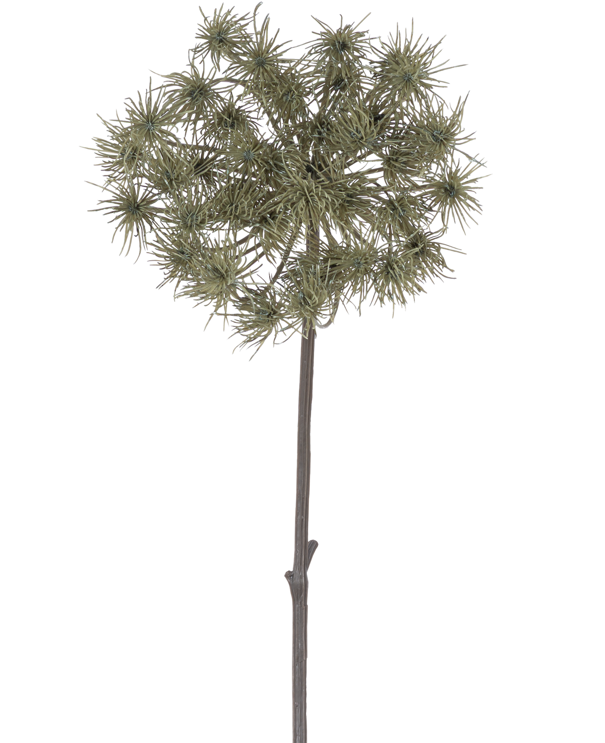 Den konstgjorda blomma björnklotet 100 cm är en enda konstgjord stjälk med klasar av trasiga, gröngrå blomhuvuden som står upprätt mot en vanlig vit bakgrund.