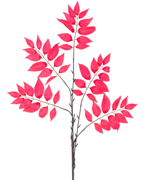 De Kunsttak Varen vertakt 83 cm rood heeft een aantal dunne stengels met clusters van levendige rode bladeren, allemaal symmetrisch gerangschikt op een witte achtergrond.