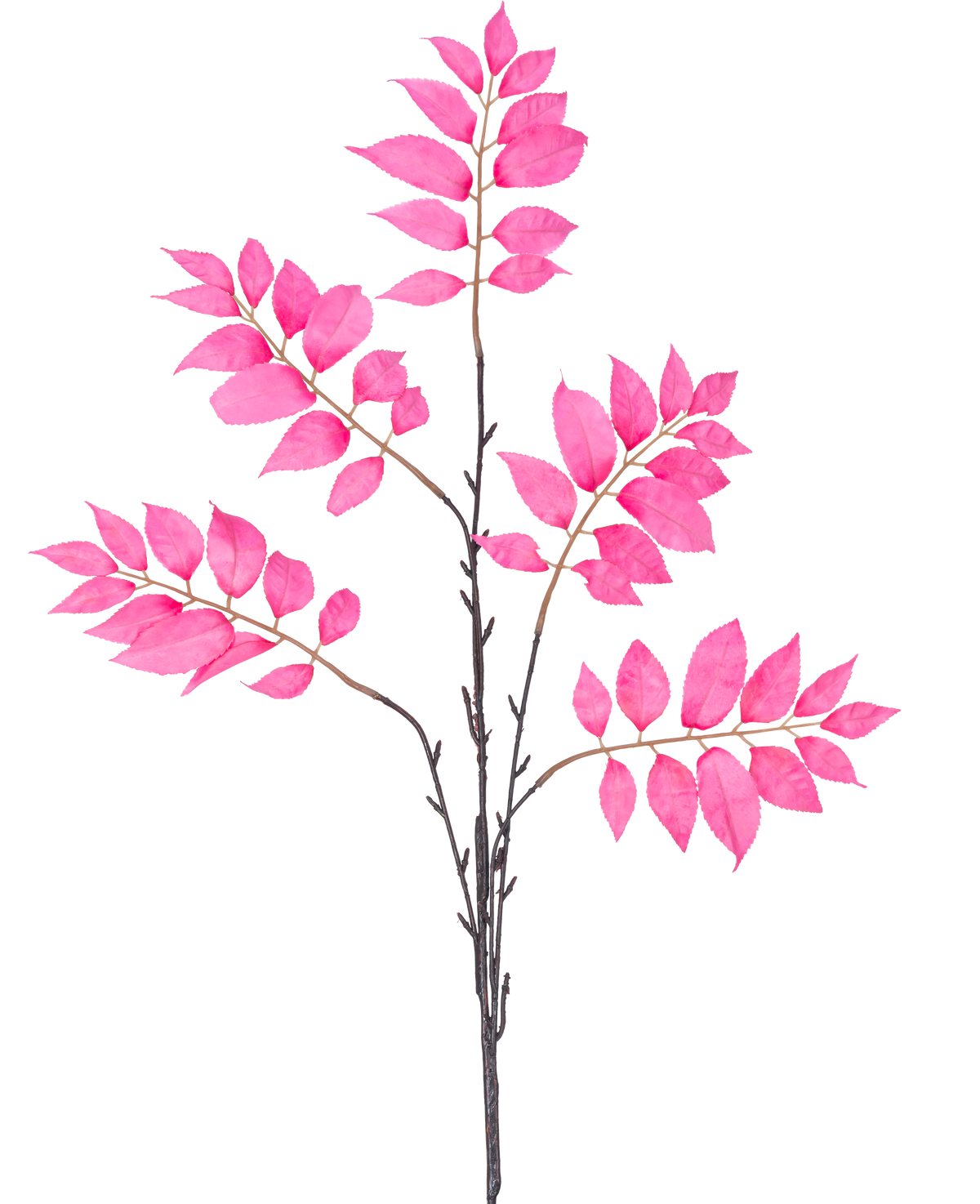 Den konstgjorda grenen Ormbunke grenad 83 cm rosa har en enda mörkbrun stjälk som förgrenar sig i flera mindre stjälkar, var och en dekorerad med klasar av livfulla rosa löv på en vit bakgrund.
