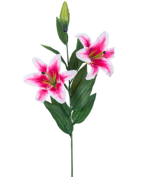 De Kunstbloem Lelie 85 cm roze heeft twee bloeiende roze en witte lelies, een gesloten knop en een aantal lange groene bladeren, prachtig tegen een witte achtergrond.