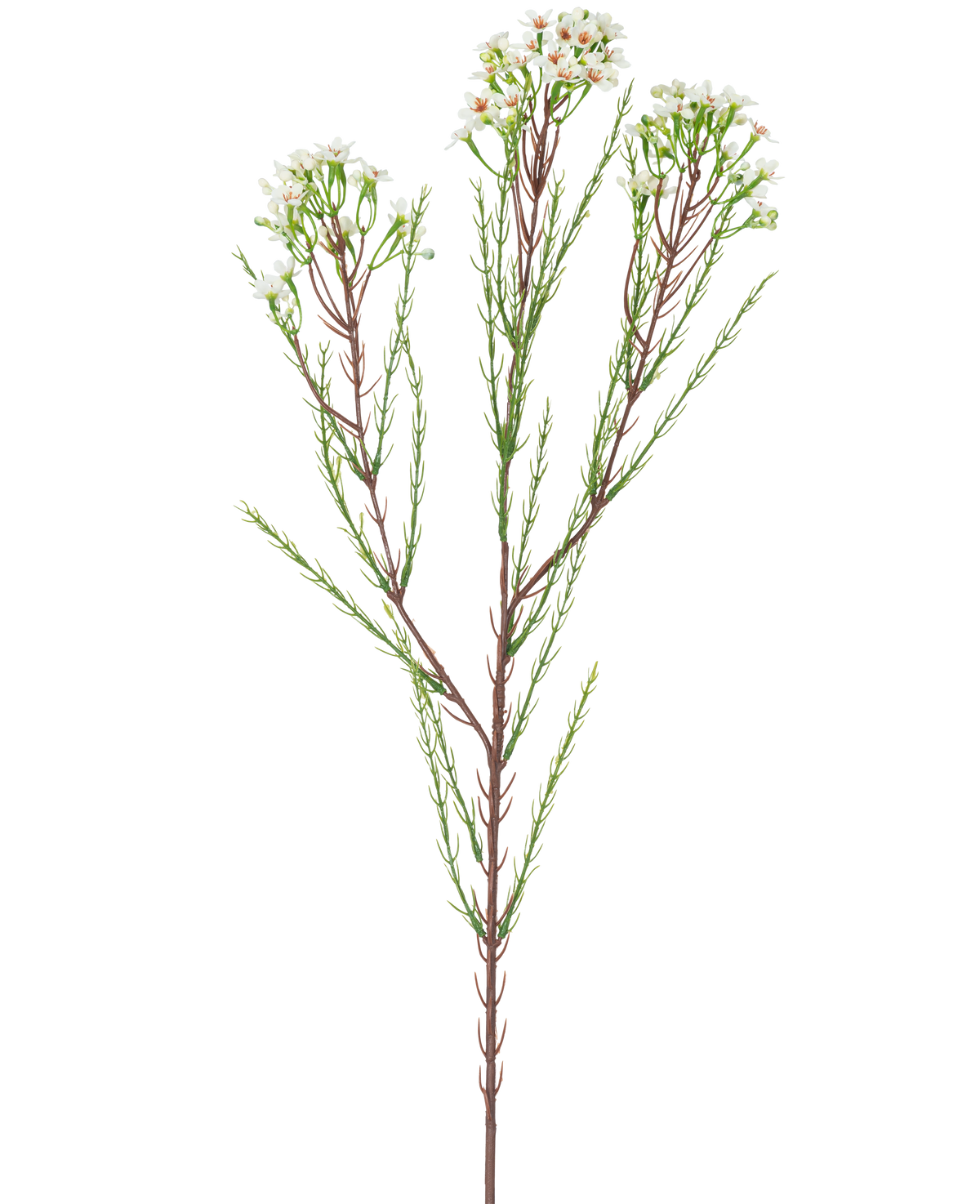 Den konstgjorda grenen vaxblomma 78 cm krämen har en enda hög stjälk med tunna gröna blad och klasar av små, krämvita blommor i toppen, mot en enkel, ljus bakgrund.