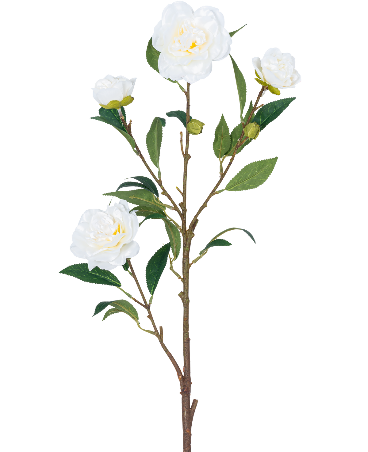Den konstgjorda blomma Camellia 80 cm vit har en enda brun stjälk med flera gröna blad och flera vita kameliablommor, några i blom och andra i knoppform, allt mot en vanlig vit bakgrund.