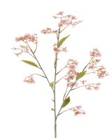 En enda stjälk av den konstgjorda blomman Daphne på 108 cm i gammalrosa, med små klasar av mjukrosa blommor och några gröna blad mot vit bakgrund.