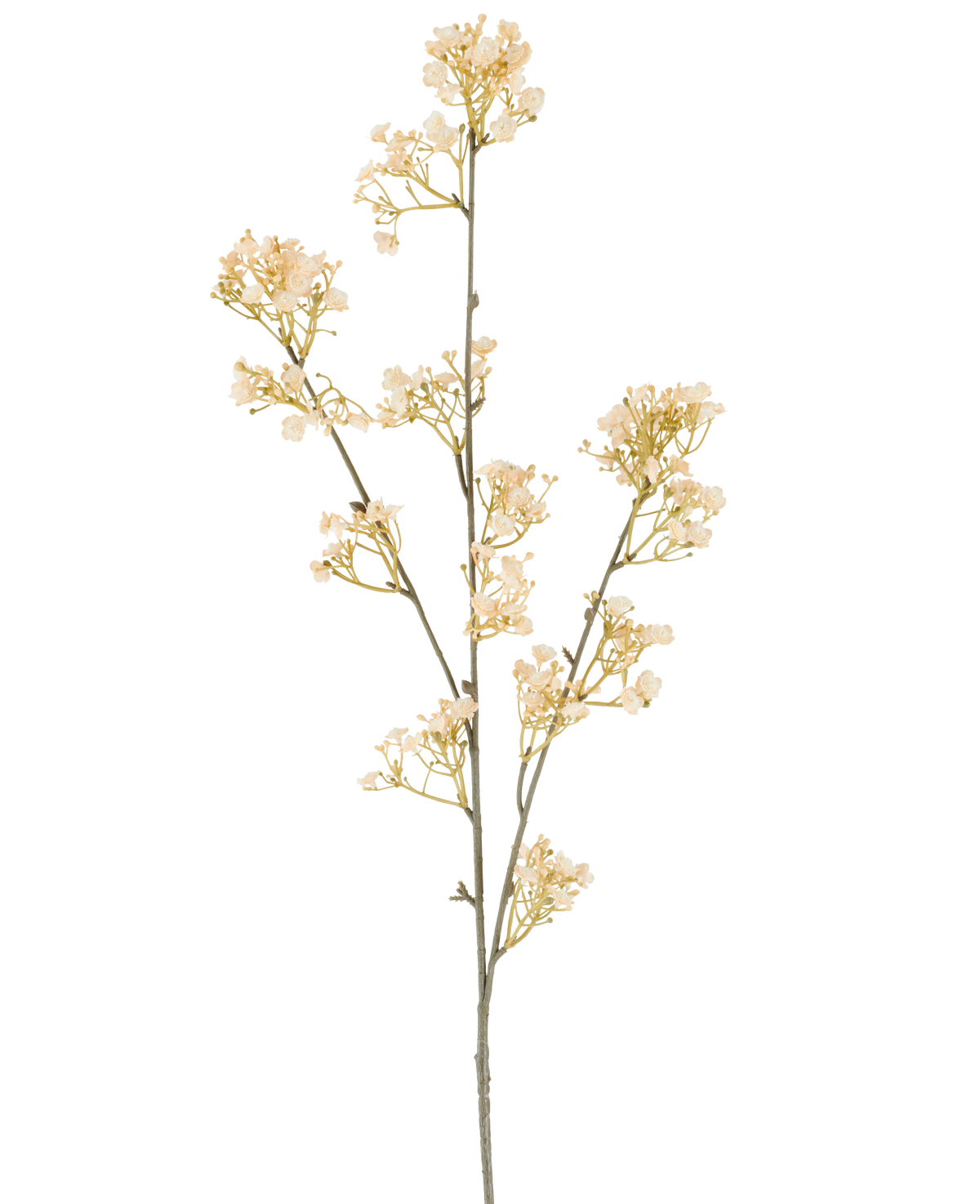 En enda stjälk av artificiell blomgips, 106 cm, kräm/brun, med små, graciösa krämfärgade och bruna blommor som förgrenar sig, satt på en vit bakgrund.