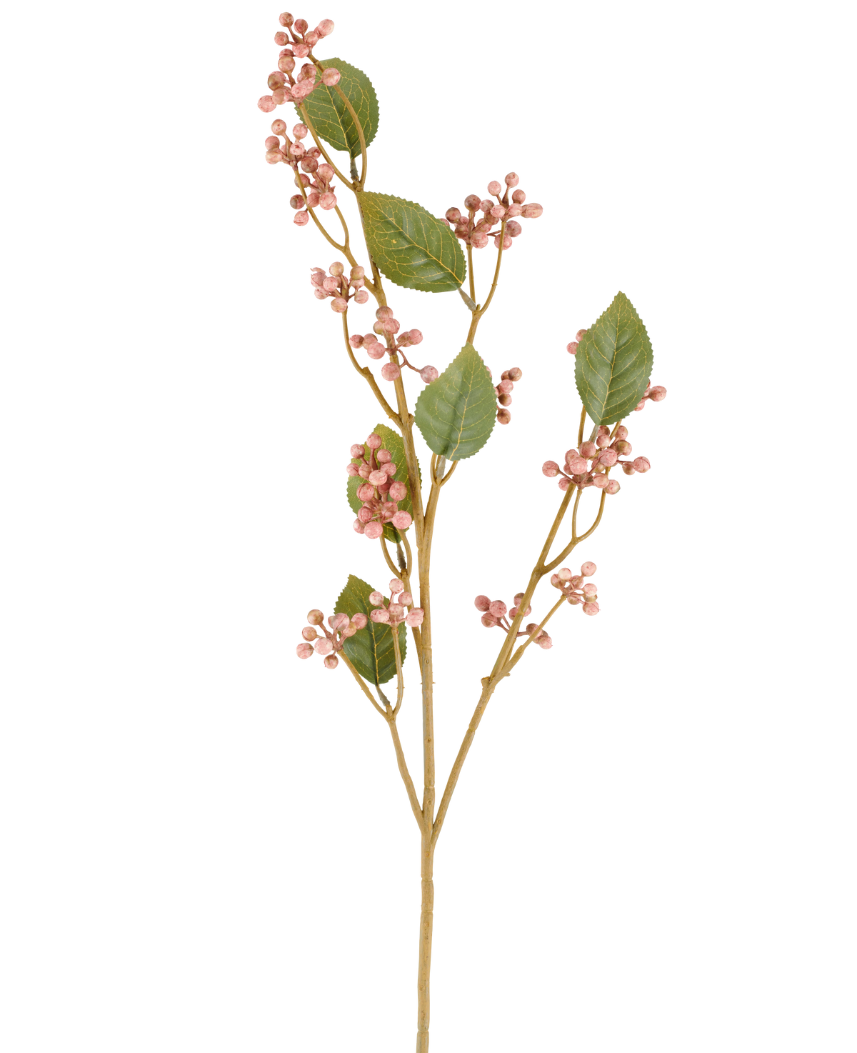 En enda stjälk av den konstgjorda daggbärsblomman, 78 cm hög i gammalrosa, med gröna blad och klasar av små, runda, rosa bär på smala bruna stjälkar, avbildade mot en vanlig vit bakgrund.