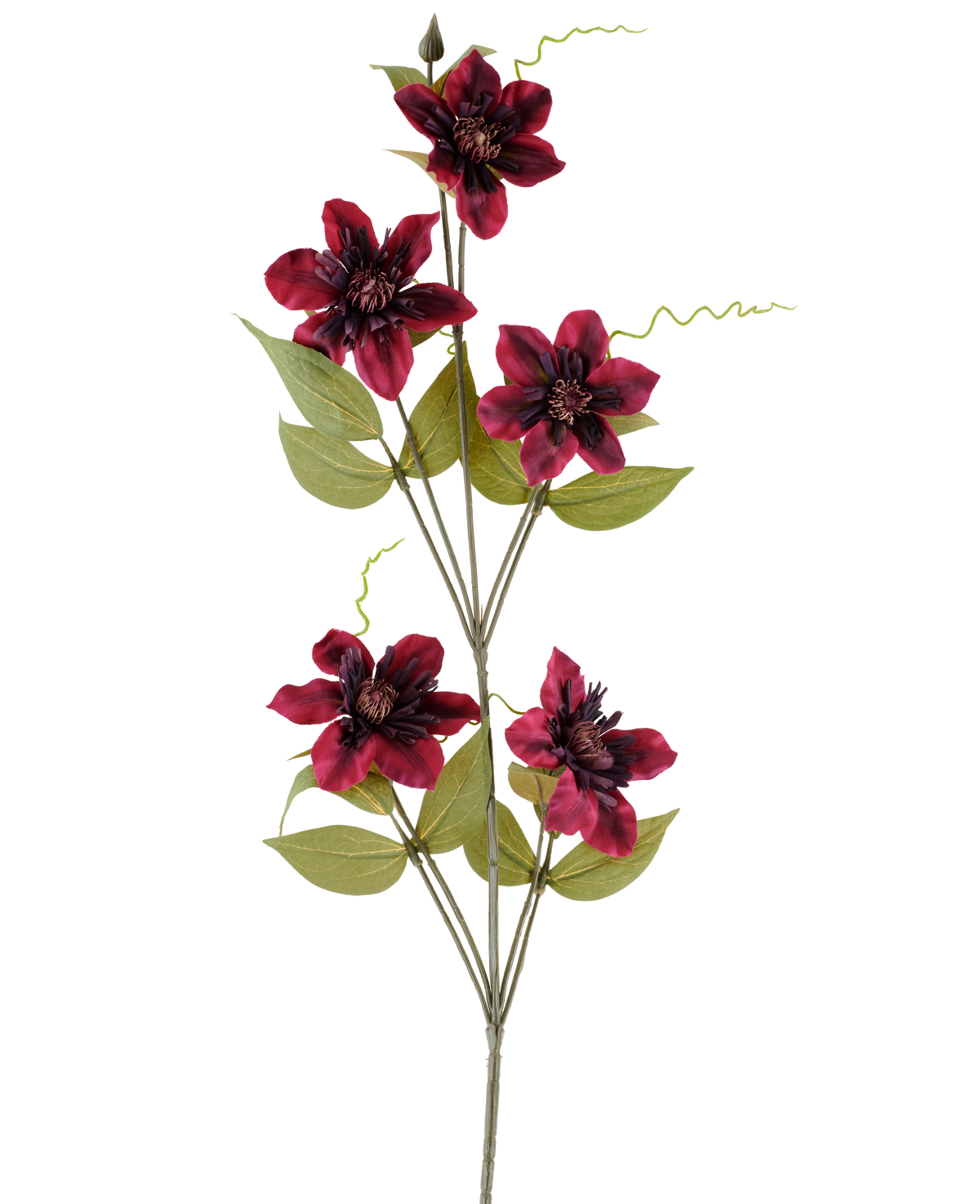 En enda konstgjord blomma Clematis 78 cm vinröd, en konstgjord stjälk, består av fem djupröda vinröda blommor med mörka mittpunkter, omgivna av gröna blad och krullade rankor, mot en vanlig vit bakgrund.