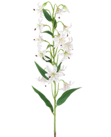 En lång grön stjälk med flera krämfärgade och bruna konstgjorda liljor, var och en med långsträckta gröna blad, presenterade mot en vit bakgrund — Konstgjord blomlilja 82 cm kräm/brun.