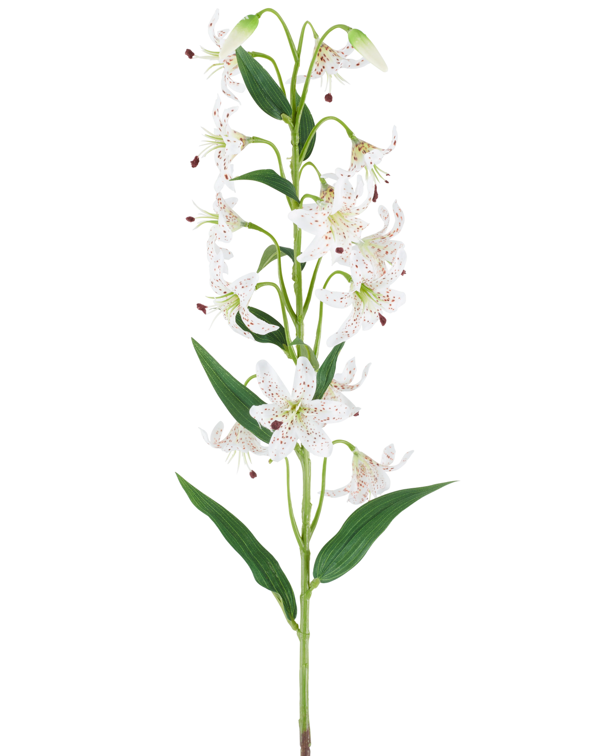 En lång grön stjälk med flera krämfärgade och bruna konstgjorda liljor, var och en med långsträckta gröna blad, presenterade mot en vit bakgrund — Konstgjord blomlilja 82 cm kräm/brun.