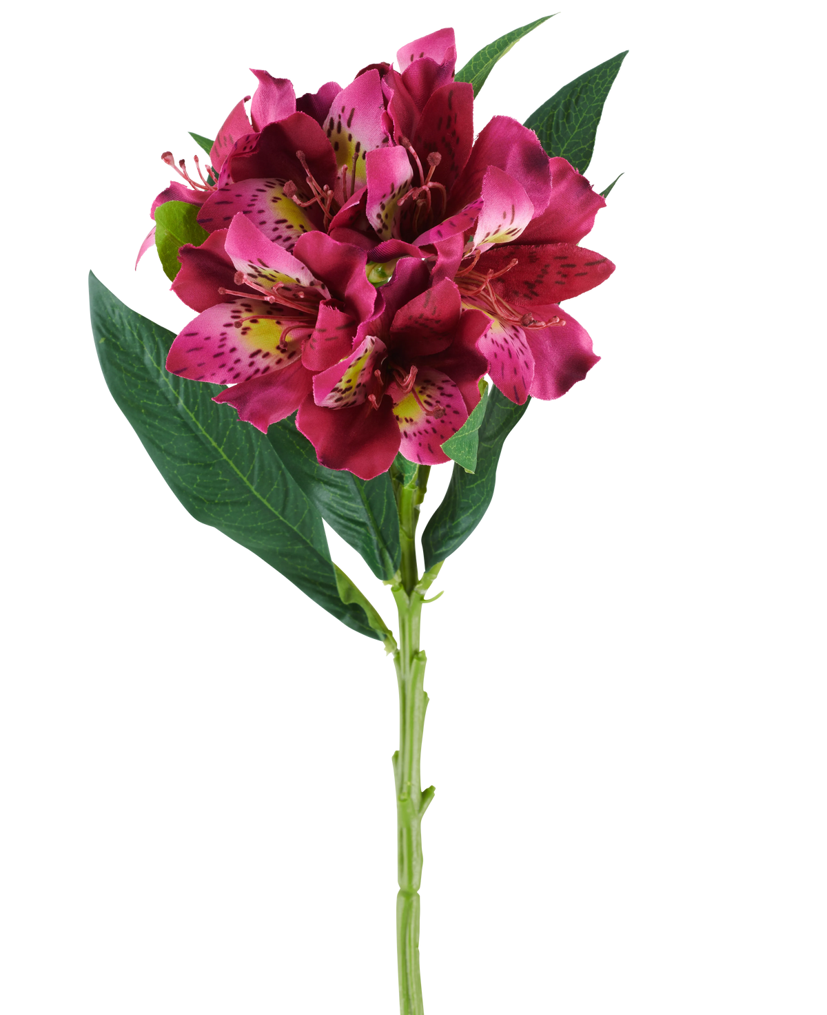 En enda stjälk av den konstgjorda Alstroemeria-blomman som mäter 74 cm i röda och lila toner, med verklighetstrogna blommor och gröna blad, isolerade mot en vit bakgrund.