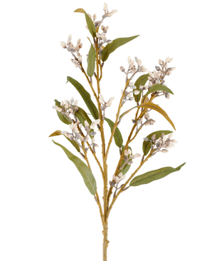 En enda 78 cm konstgjord blomeukalyptusstam i kräm/brunt, med flera grenar av gröna blad och klasar av små, runda blommor, avbildad mot en vanlig vit bakgrund.
