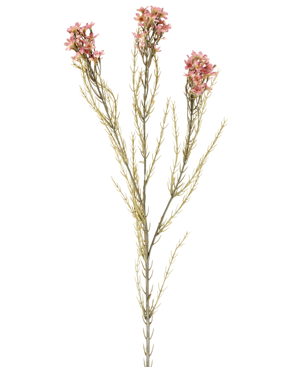 Ett enda 78 cm konstgjordt blomvax i gammalrosa har en grön stjälk med tre grenar, som var och en bär små, ömtåliga gammalrosa blommor och tunna, nålliknande blad, som visas mot en vanlig vit bakgrund.