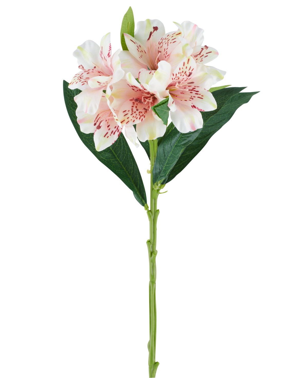 En enda stjälk av den konstgjorda Alstroemeria-blomman 74 cm ljusrosa med gröna blad och tre ljusrosa blommor med mörkrosa fläckar, mot en vit bakgrund.