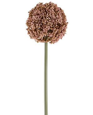 En enda artificiell blomma Allium på 75 cm i lila, med en lång grön stjälk och en stor, rund klase av små lila knoppar, avbildad på en vit bakgrund.