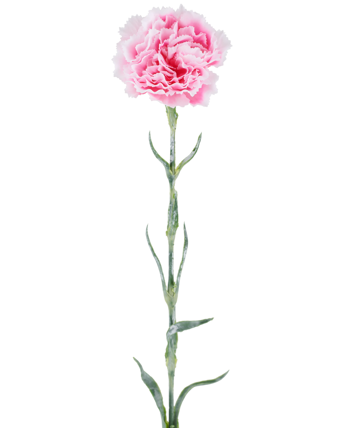 Konstgjord blomma: 68 cm nejlika, rosa, med rufsiga rosa kronblad på en lång grön stjälk, isolerad mot en vit bakgrund.