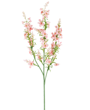 En enda grön stjälk med flera grenar bär klasar av små, ömtåliga, ljusrosa artificiell blomma Catmint 75 cm rosa blommor och gröna blad, avbildade mot en vanlig vit bakgrund.
